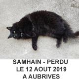 Foto del gato perdido en Aubrives