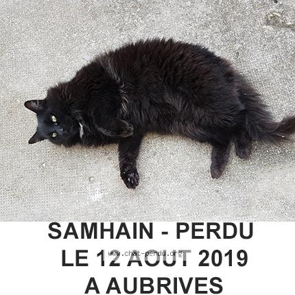 Foto 1/1 Samhain Chat perdido en Aubrives