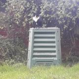 Foto del gato perdido en Sevran