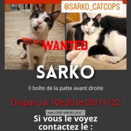 Foto 1/1 Gato encontrado Perdido en Paris