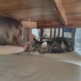 Foto del gato perdido en Saint Germain Des Pres