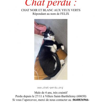 Foto 1/1 Félix Chat perdido en Villers saint barthelemy