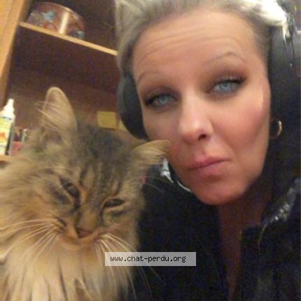 Foto 2/2 Breitzel Chat perdido en Boulot