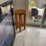 Foto de gato encontrado en Poisy