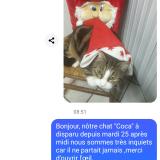 Foto del gato perdido en Chey