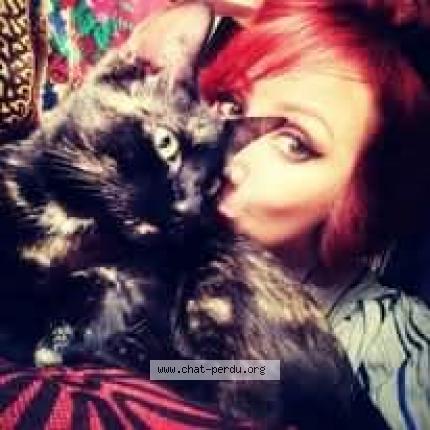 Foto 1/1 Bisou Chat perdido en Paris
