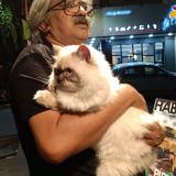 Foto del gato perdido en Bangalore