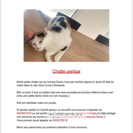 Foto 2/2 Esiris Chat perdido en Solesmes