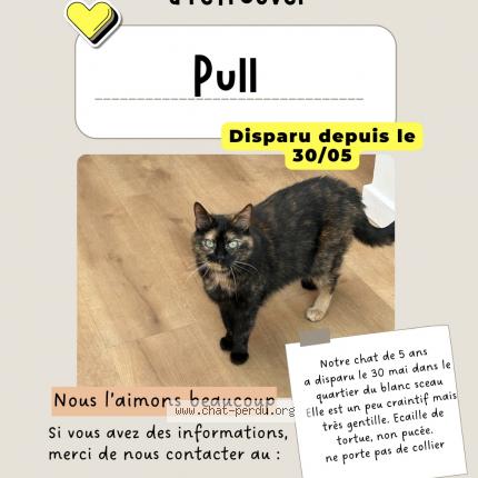 Foto 1/1 Pull Chat perdido en Tourcoing