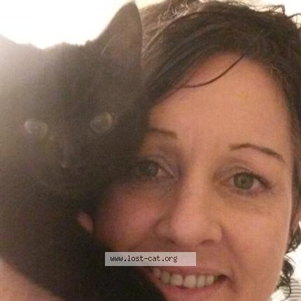 Foto 1/1 Nigel Chat perdido en Lake country