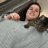 Foto del gato perdido en Eragny Sur Epte