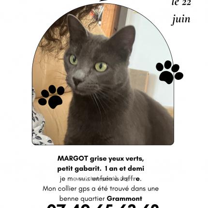 Foto 1/1 Margot Chat perdido en Rouen