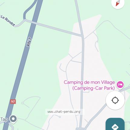 Foto 1/1 Gato encontrado Encontrado en Saint pierre le moutier