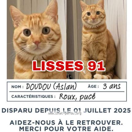 Foto 4/4 ASLAN - Doudou Chat perdido en Lisses