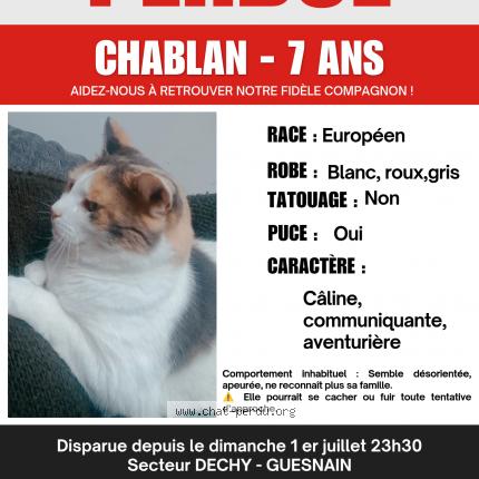 Foto 1/1 Chablan Chat perdido en Dechy