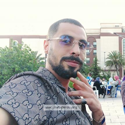 Foto 1/1 Hadi Chat perdido en Constantine