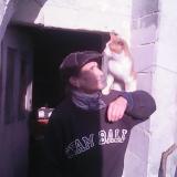 Foto del gato perdido en Louerre