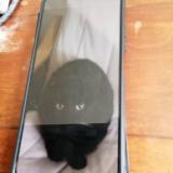 Foto del gato perdido en Erquinghem Lys