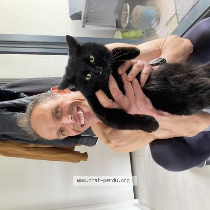 Foto 1/1 Mitsu Chat perdido en Ouffieres