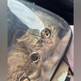 Foto del gato perdido en Guebwiller