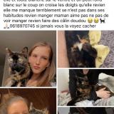 Foto del gato perdido en St Maxime