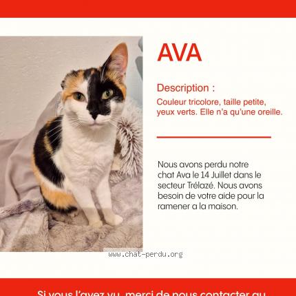 Foto 1/1 Ava Chat perdido en Trelaze