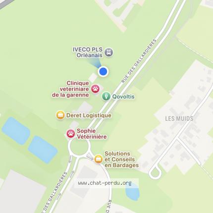 Foto 3/4 MICHKA Chat perdido en Ingre