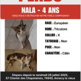 Foto del gato perdido en Annecy