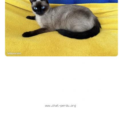 Foto 1/1 Mia Chat perdido en Drancy