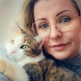 Foto del gato perdido en Chalons En Champagne