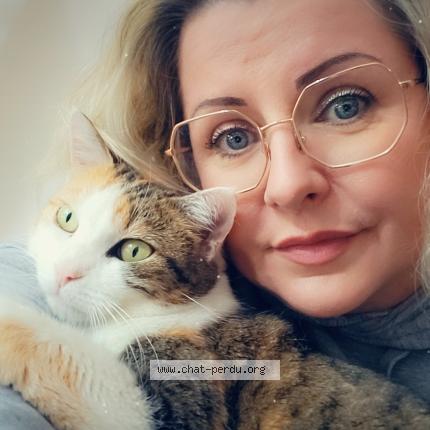 Foto 1/1 Shaya Chat perdido en Chalons en champagne