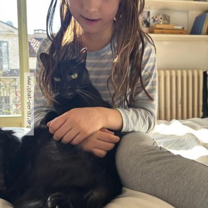 Foto 1/2 Menelao Chat perdido en Montgenevre