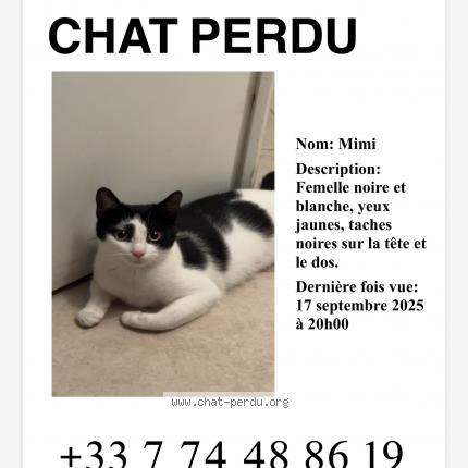 Foto 1/1 Mimi Chat perdido en Nice