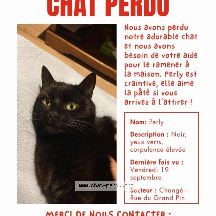 Foto 1/1 Perly Chat perdido en Change