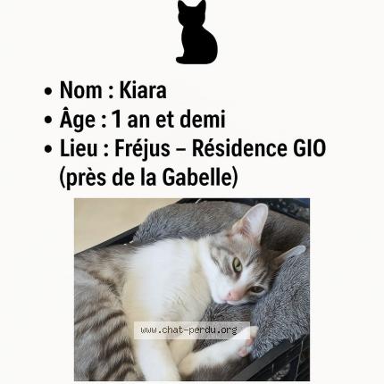 Foto 1/1 KIARA Chat perdido en Frejus