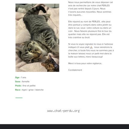 Foto 1/1 Perles Chat perdido en Croix