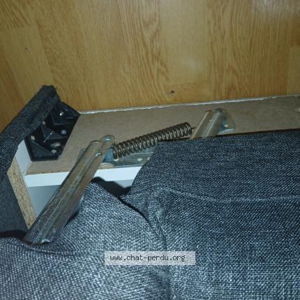 Foto 1/1 Gato encontrado Encontrado en Etterbeek