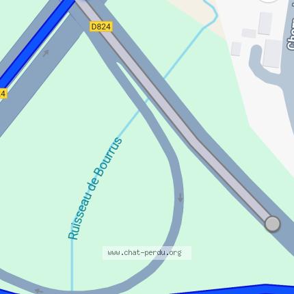 Foto 1/1 Gato encontrado Encontrado en Saint pierre du mont