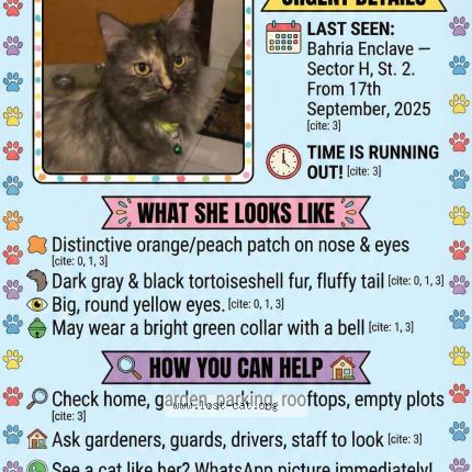 Foto 4/4 Gullu Chat perdido en Islamabad