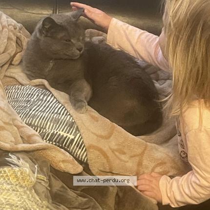 Foto 1/1 Rocio Chavez gomez Chat perdido en Sat