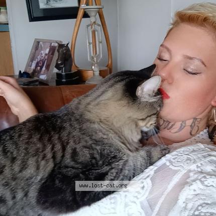 Foto 1/1 Mafia Chat perdido en Moore