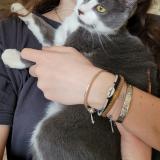 Foto del gato perdido en Floudes