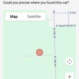 Foto de gato encontrado en Warsaw