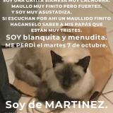 Foto del gato perdido en Martinez