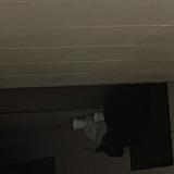 Foto de gato encontrado en Magnanville