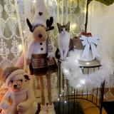 Foto del gato perdido en Rouen