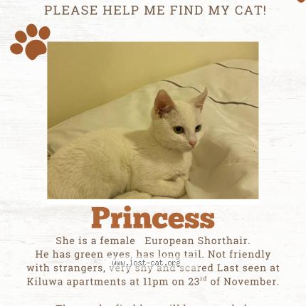 Foto 1/1 Alisha Ahmed Mohammed Chat perdido en Nairobi