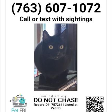 Foto 1/1 Heidi Hautlala Chat perdido en Maple grove