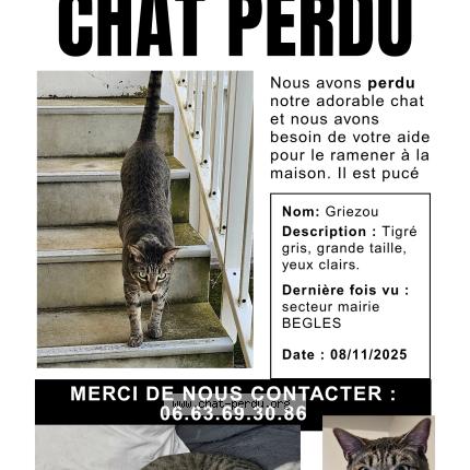 Foto 1/1 GRIEZOU Chat perdido en Begles