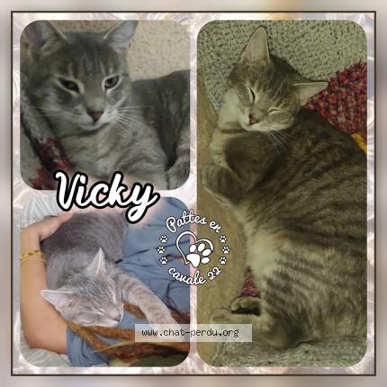 Foto 1/1 Vicky Chat perdido en Plancoet
